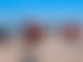 Protección Civil reporta balance positivo en Semana Santa con menos incendios y rescates