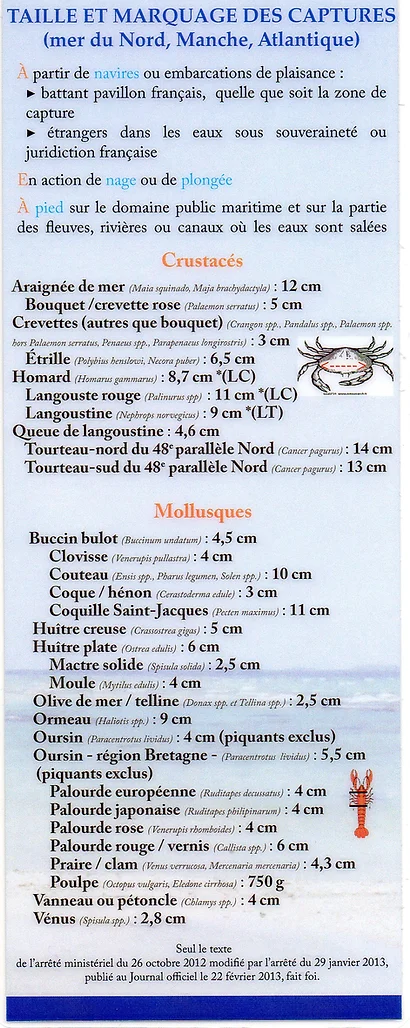 Peche A Pieds Skalclub44