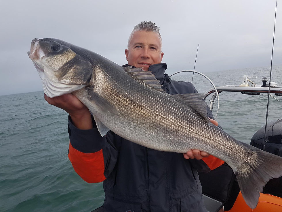 Bar 6,8 Kg Romain