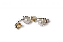 Pearl-Stoned Earrings.jpg