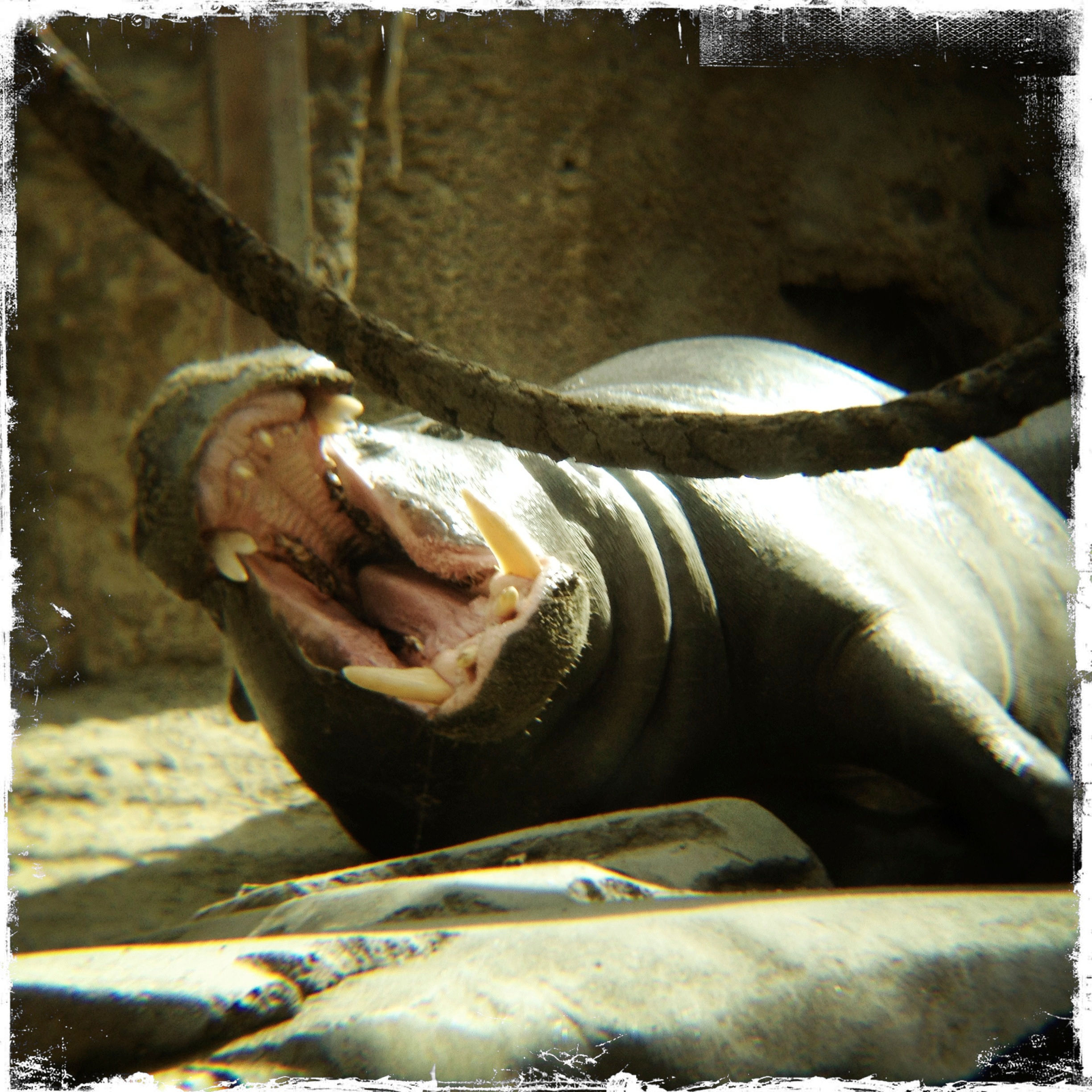 14.8x8:Getting Comfortable:San Diego, CA