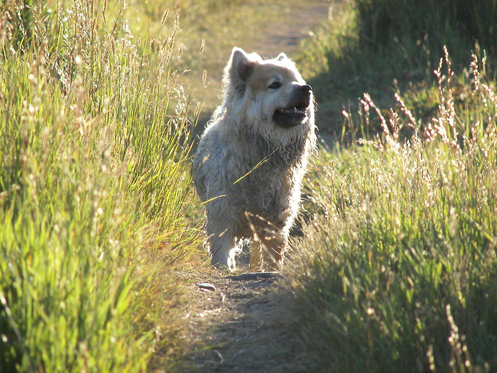 44. 12x12: Poem: Jackson Hole, WY