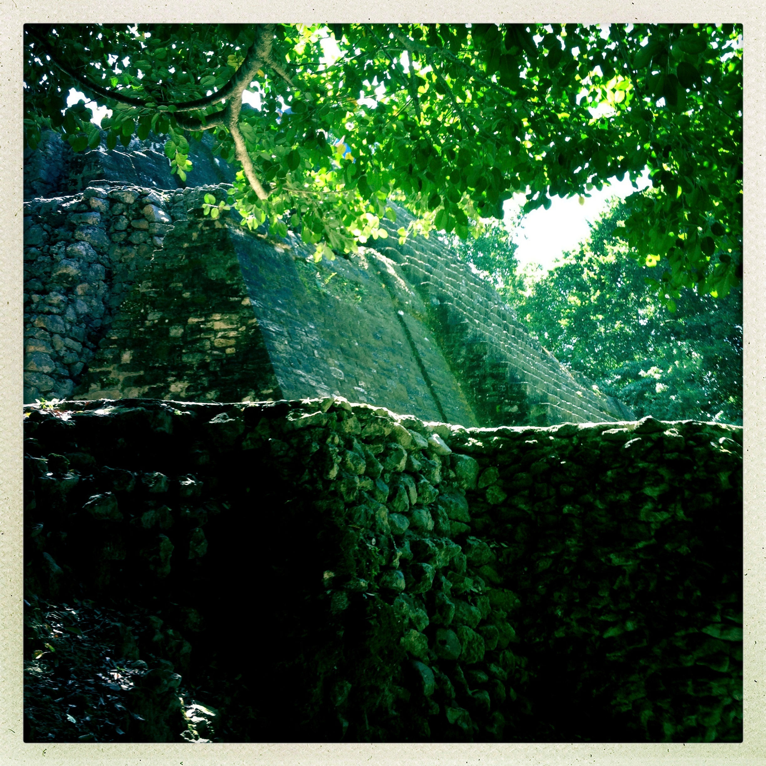 46. 8x8: Mayan Temple: Lamani, Belize