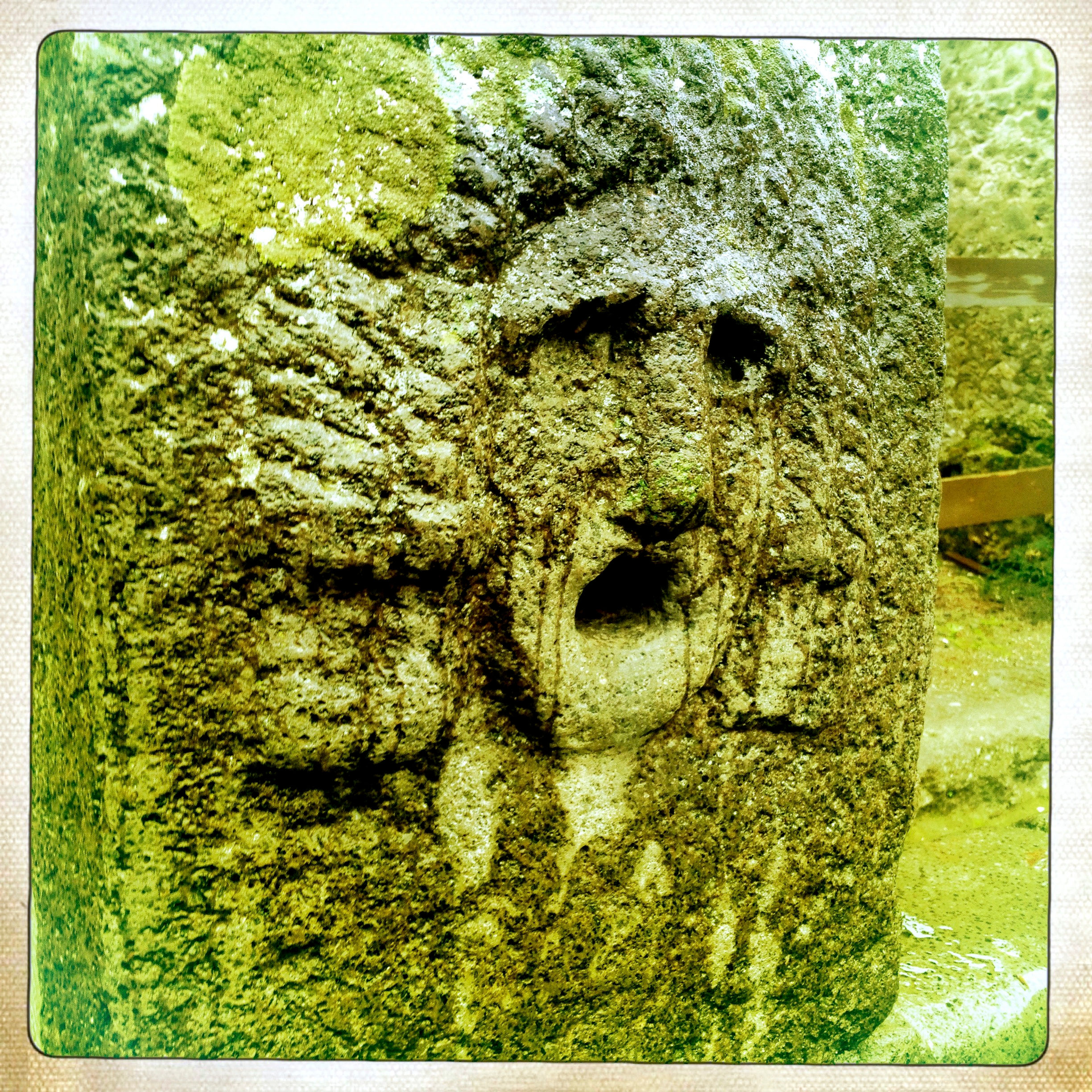 38. 8x8: Afraid to Look Back: Pompeii, Italy