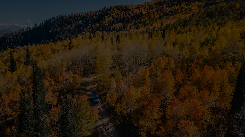 DJI_0315_edited.jpg