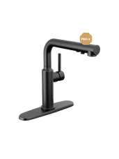 Delta Denari Pull-Down Faucet