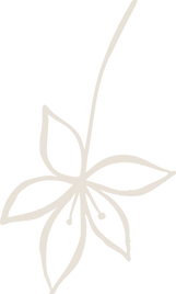 Estampa da identidade visual da Psicóloga Rosa Paes