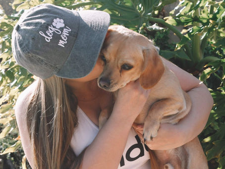 7 Things Every Dog Mom Needs