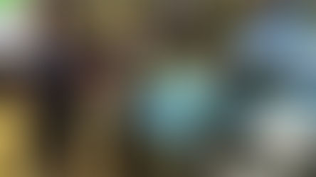 Operação Underbill: Receita Federal, PF e MPF deflagram operação para combater organização criminosa que atua no comércio exterior