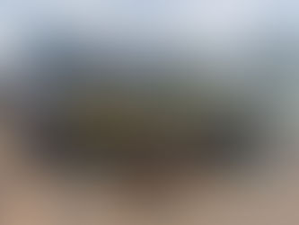 PRF encontra mais de 46 kg de drogas escondidas sob cama de caminhão na BR-364