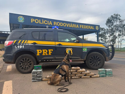 PRF encontra mais de 46 kg de drogas escondidas sob cama de caminhão na BR-364