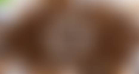 Projeto “Cigarro Verde” é premiado no 14º Congresso Norte-Nordeste de Pesquisa e Inovação (Connepi)