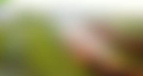 Receita Federal promove mais uma fase da operação Declara Agro no estado de São Paulo