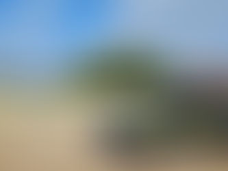 Rodovida: PRF inicia Operação Carnaval 2025 nas rodovias federais do Espírito Santo