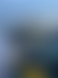 PRF encerra operação de combate ao crime na região de fronteira