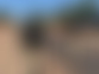 Operação Proclamação da República 2024: PRF intensifica fiscalizações nas rodovias federais do Tocantins