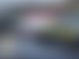 Mãe e filhos vítimas de colisão são escoltados pela PRF de Garanhuns até Recife