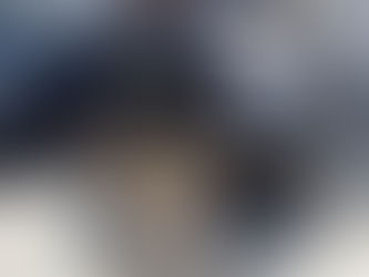 Na Dutra, PRF recupera veículo furtado