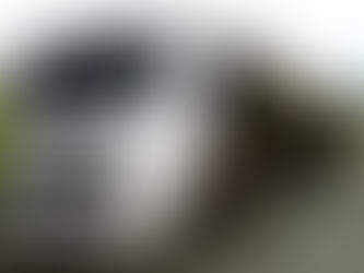 Bitrem 9 eixos carregado com soja é flagrado pela PRF com quase 13 toneladas em excesso