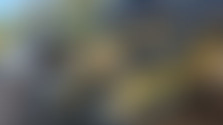 PRF apreende 25 kg de skunk após acompanhamento tático na BR-060, em Jataí (GO)