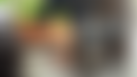 Últimos dias para aderir aos editais de transação tributária