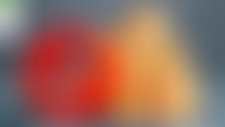 Receita Federal retém cerca de 23 quilos de cocaína em terminal privado em Paranaguá