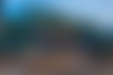 PRF apreende carga irregular de madeira nativa no Acre