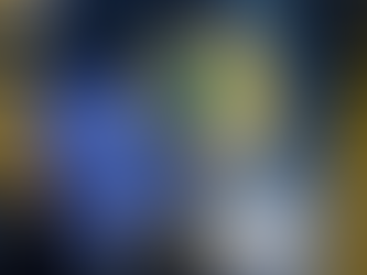 PRF apreende armas e munições na BR-010, em Ipixuna do Pará/PA