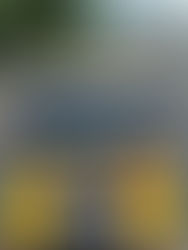 PRF apreende três armas em Corumbá (MS)