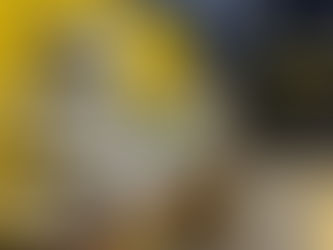 PRF em Rondônia apreende mais de 40 kg de entorpecentes em Vilhena