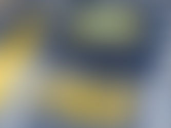 PRF apreende pistola calibre .380 em abordagem na BR-116, em Caratinga (MG)