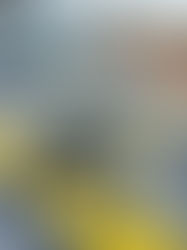 PRF apreende arma de fogo e munições, em Dom Eliseu/PA