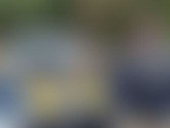 PRF flagra transporte ilegal de aves silvestres na Rodovia Fernão Dias