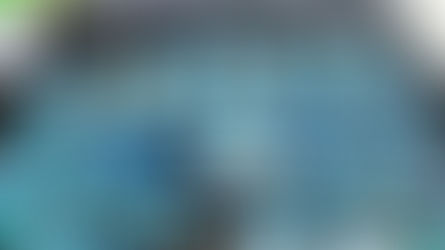 Receita Federal retém quase 2 toneladas de maconha na Aduana da Ponte Internacional da Amizade