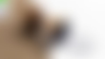 Receita Federal atua com órgãos parceiros no combate a devedor contumaz responsável por sonegação e fraude à execução