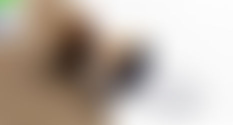 Receita Federal atua com órgãos parceiros no combate a devedor contumaz responsável por sonegação e fraude à execução