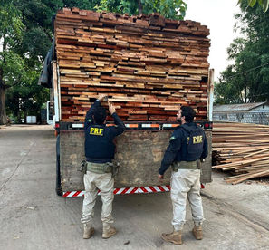PRF apreende 35 m³ de madeira ilegal durante fiscalização na BR-230, em Novo Repartimento/PA