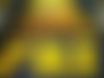 PRF realiza maior apreensão de ouro desde o início da Operação Omawe