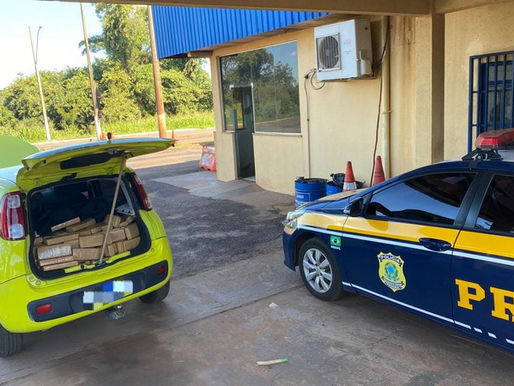 PRF apreende 404 Kg de maconha em Nova Alvorada do Sul (MS)