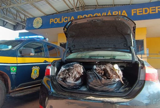 PRF apreende 70 Kg de cabelos humanos em Miranda (MS)