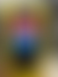 PRF prende condutor embriagado após dirigir na contramão em Teresina (PI)