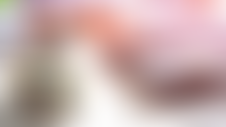 Receita Federal disponibiliza Declaração de Opção pelo Regime Especial de Atualização Patrimonial (Deap)