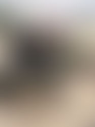 PRF recupera veículo roubado no Arco Metropolitano