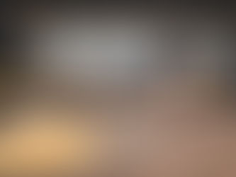 PRF apreende skunk em encomenda de farinha em Rondonópolis-MT