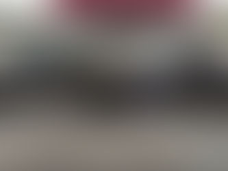 Operação temática de enfrentamento a crimes ambientais é realizada no Centro-Oeste