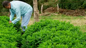 Prazo final para entrega da DITR é nesta terça-feira (30)