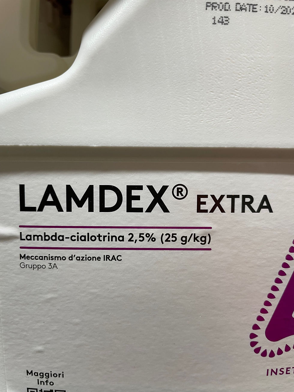 Miniatura: LAMDEX EXTRA DA  KG 1 LAMBDA-CIALOTRINA GR 2,5