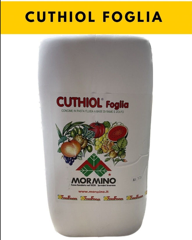 Cuthiol foglia da kg 15 MORMINO