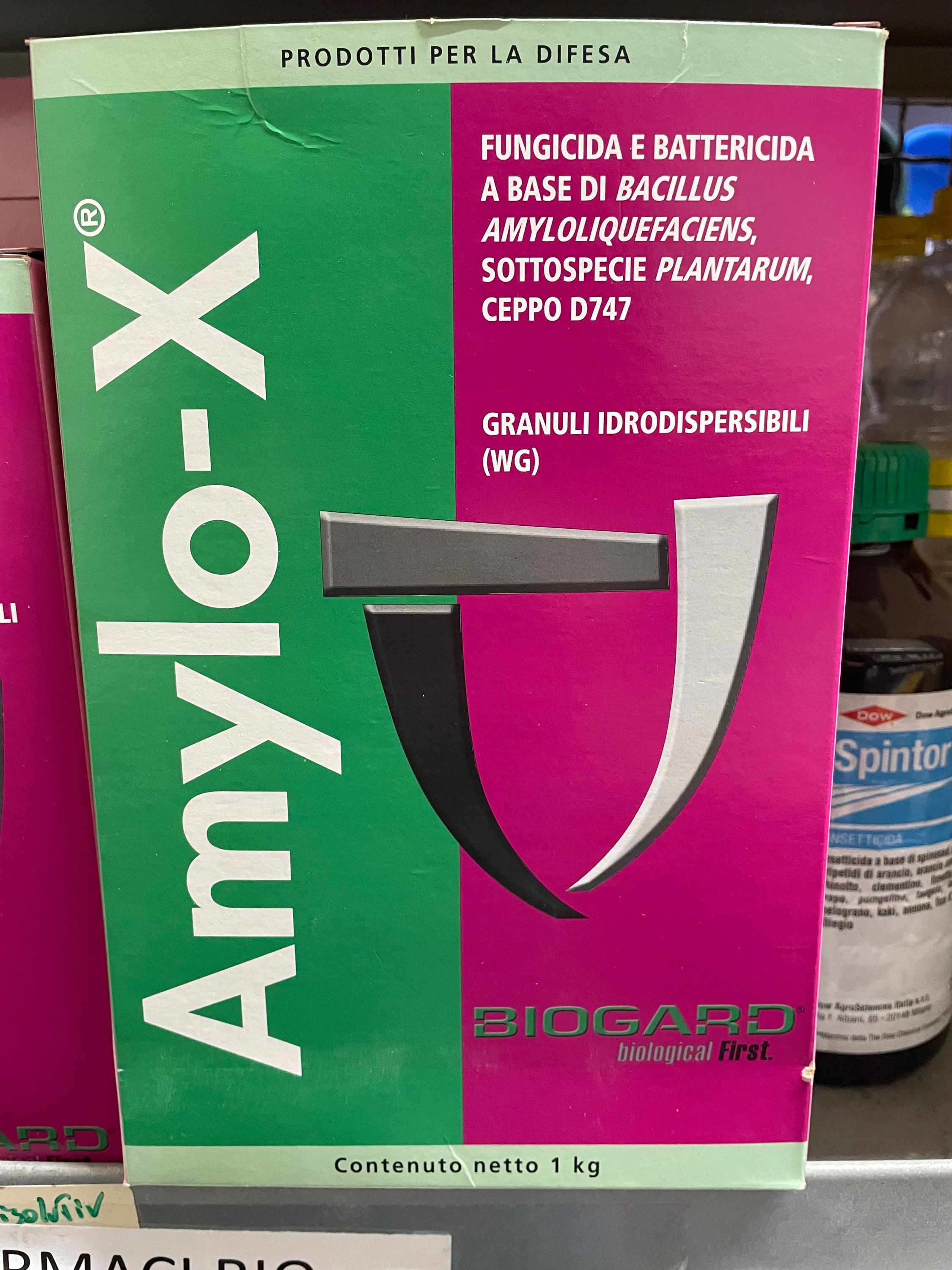 Amylo-X da kg 1 num. Reg. 15302