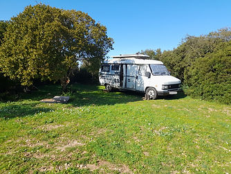 Olivier camion Laura (3) floutage plaque.jpg